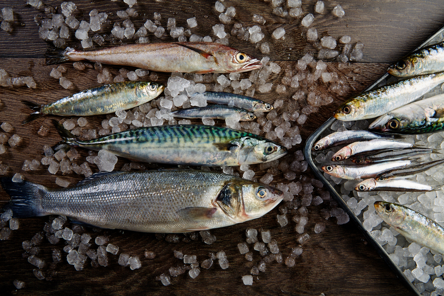 beneficios de comer pescado